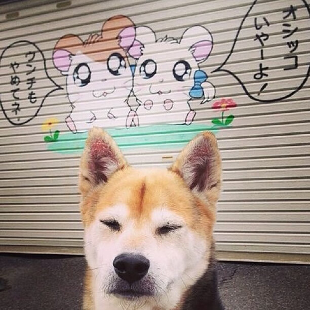 开云-APEX英雄 新星选手异军突起，apex英雄突击手