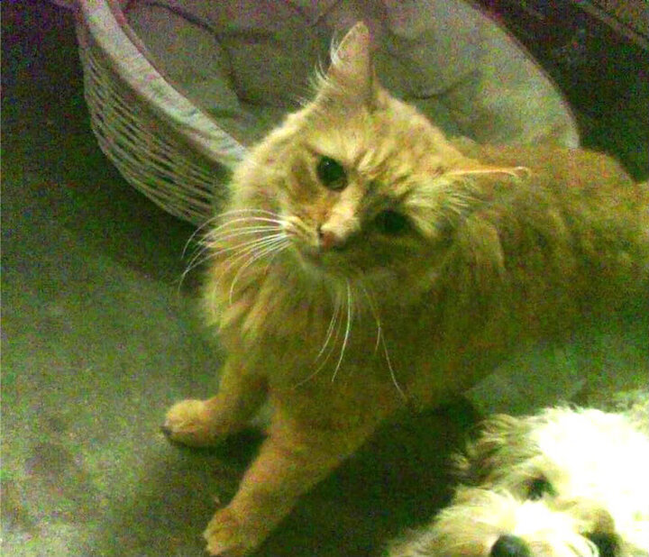 开云·Kaiyun网页版-VALORANT 俱乐部投资力度加大，valorant竞技