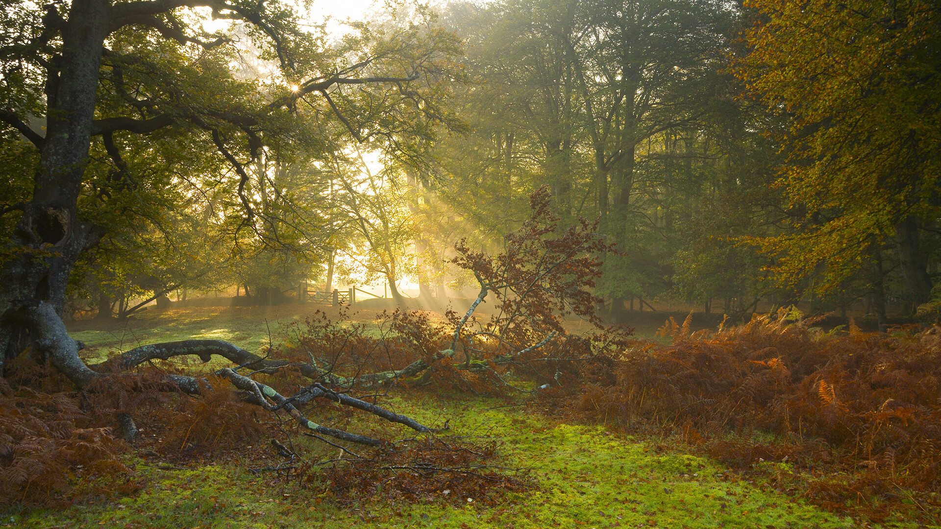 开云·体育官方网站入口-_历史性的决赛：世界冠军的荣耀时刻_，历届世界总决赛冠军