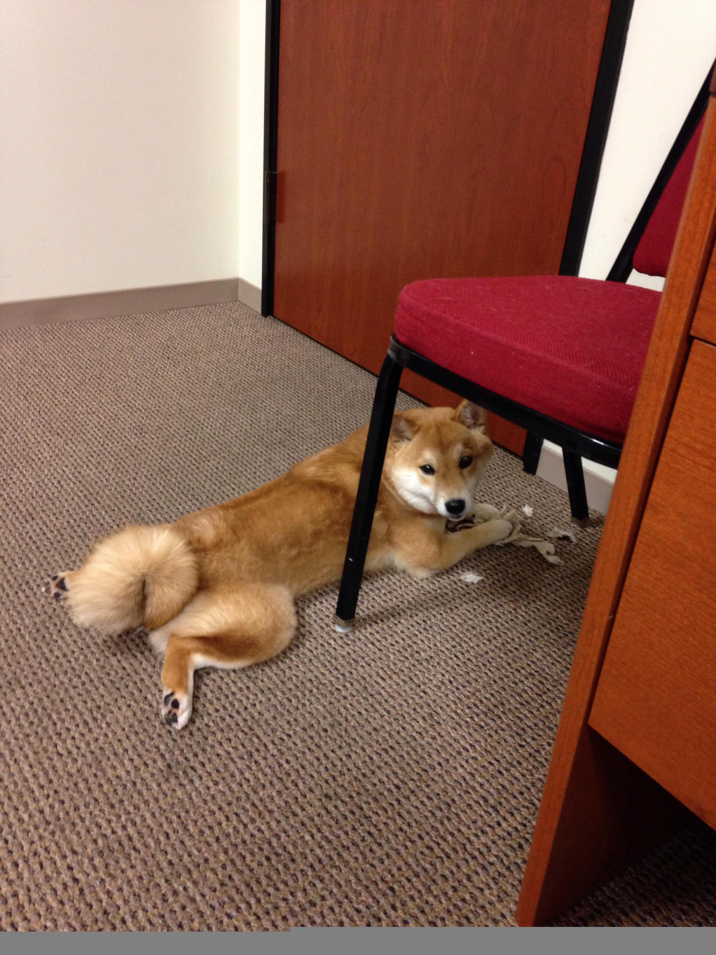 开云下载-_凯尔特人强势领跑，联盟排名持续攀升_，凯尔特人目前排名