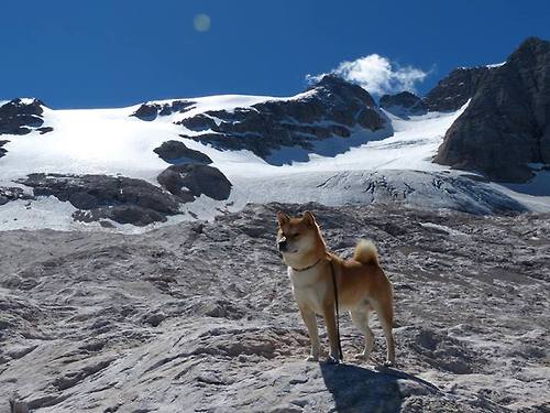 kaiyun-_全民健身跑步周：活力城市开启_，全民健身跑道