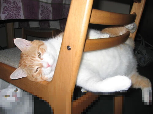 开云平台-_城市史诗赛:在历史名城中演绎网球传奇_,经典网球赛事