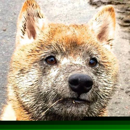 开云官网登录-_勇士开启三分狂潮，火力全开_，勇士三分战术名称