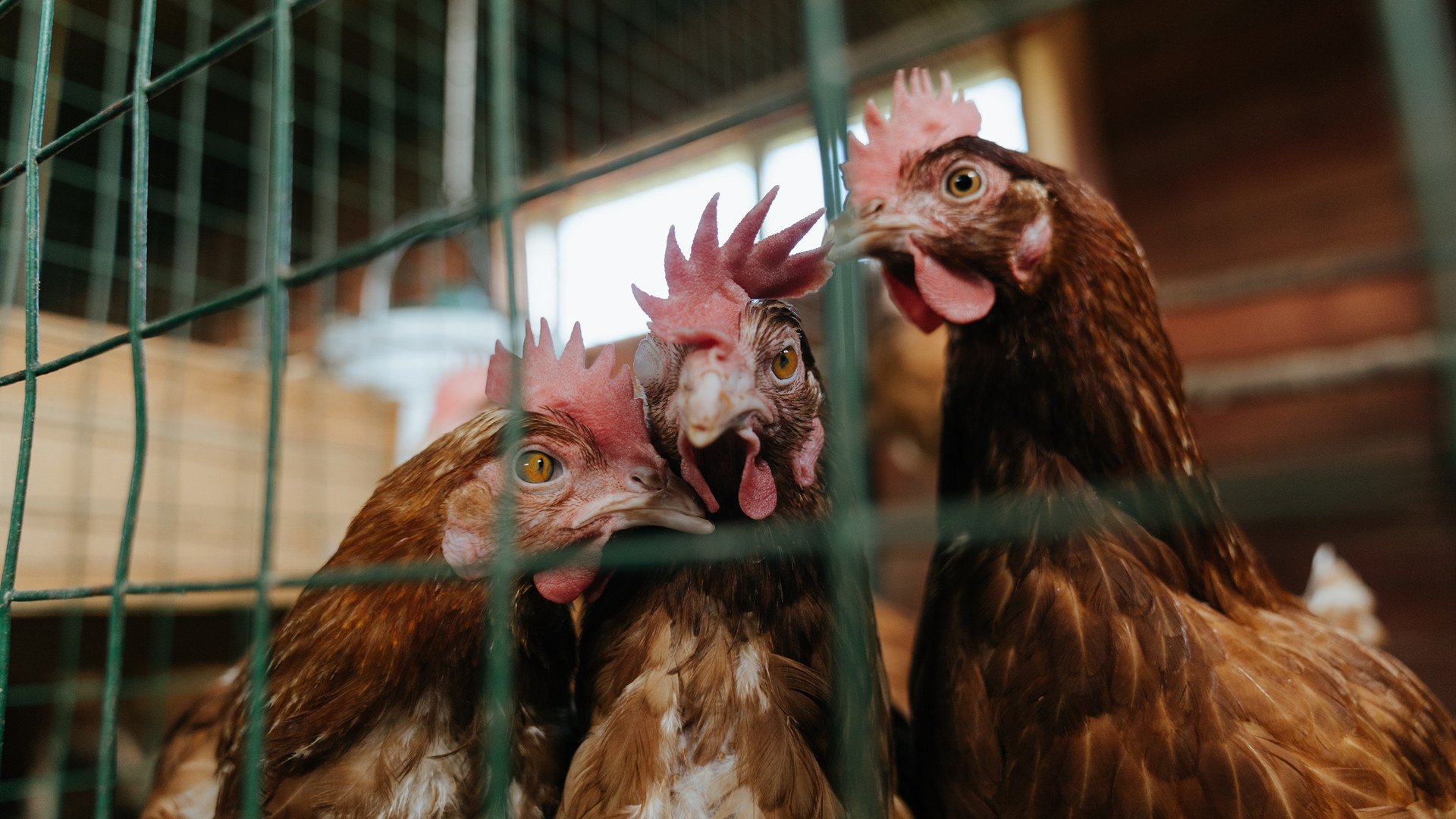 开云体育APP下载-“青春筑梦”青少年公共体育设施项目在西安全面落地，提升青训基础设施