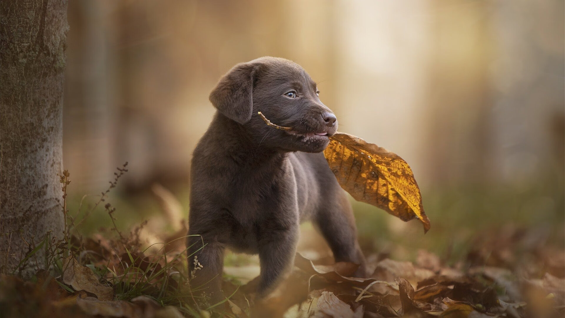 kaiyun开云·官方网站-【心态调节】奥沙利文:保持专注的最佳心态方法,奥沙利文状态最好的时段