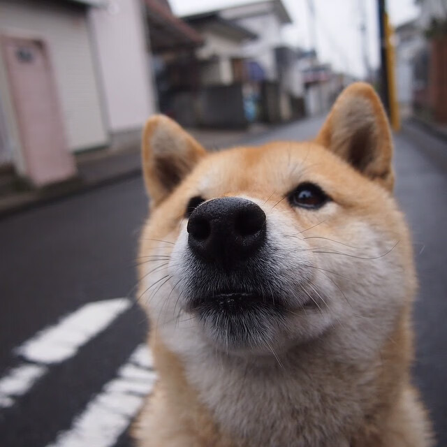 开云体育网页版入口-比赛中的“神奇局面”盘点，比赛中tbd