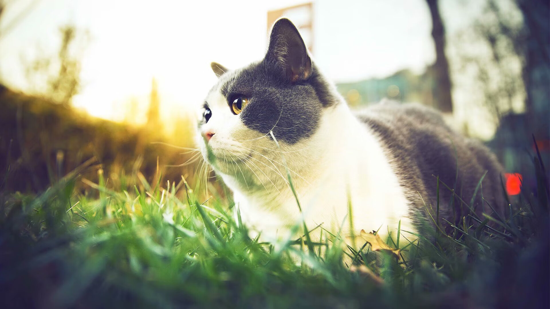 开云在线直播-中超球队战术执行细致,比赛观赏性增强,中超比赛真好看, 有进球有打人, 场面好混乱