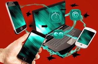 开云APP-裁判团队数字考核系统试运行，裁判员管理平台