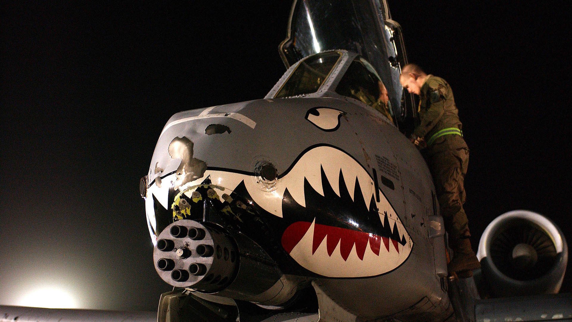 开云·体育官网APP下载-“萨尔·巴赫与南非羚羊队：目标锁定2023世界杯”